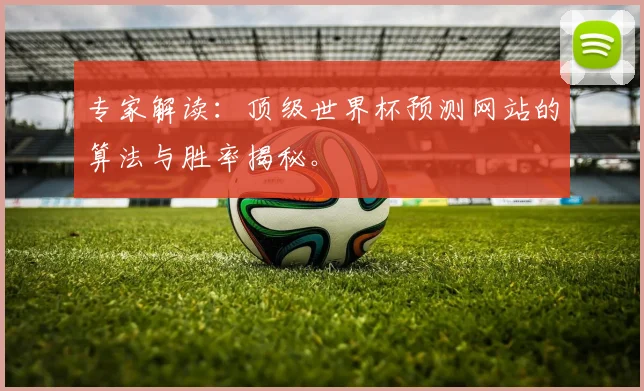 专家解读：顶级世界杯预测网站的算法与胜率揭秘。