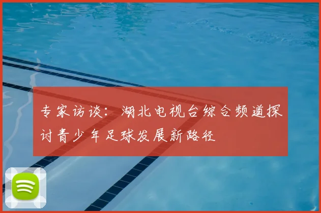 专家访谈：湖北电视台综合频道探讨青少年足球发展新路径