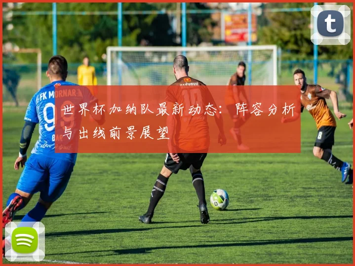 世界杯加纳队最新动态:阵容分析与出线前景展望