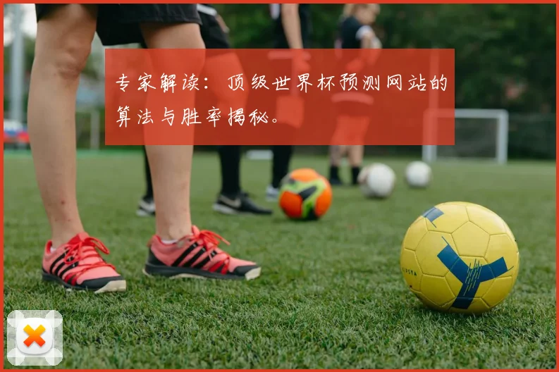 专家解读：顶级世界杯预测网站的算法与胜率揭秘。