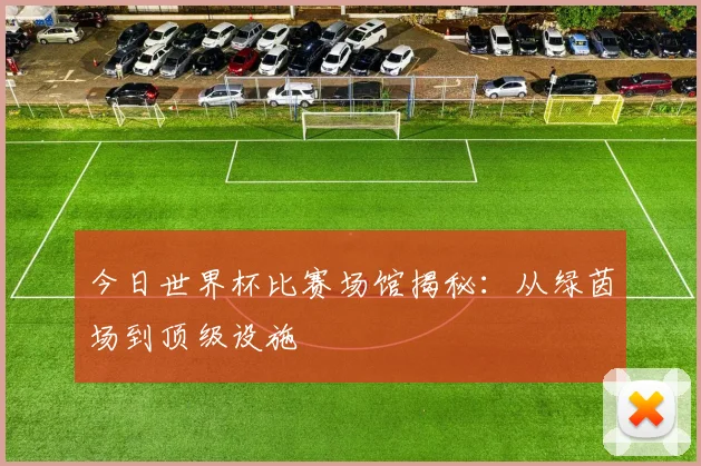 今日世界杯比赛场馆揭秘：从绿茵场到顶级设施